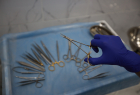 Expert Clinic. Онлайн запись в клинику на сайте Doc.ua (044) 337-07-07