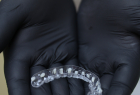 Стоматологическая клиника DENTISTMAN Стоматологическая клиника DENTISTMAN на ул. Голосеевская. Онлайн запись в клинику на сайте Doc.ua (044) 337-07-07